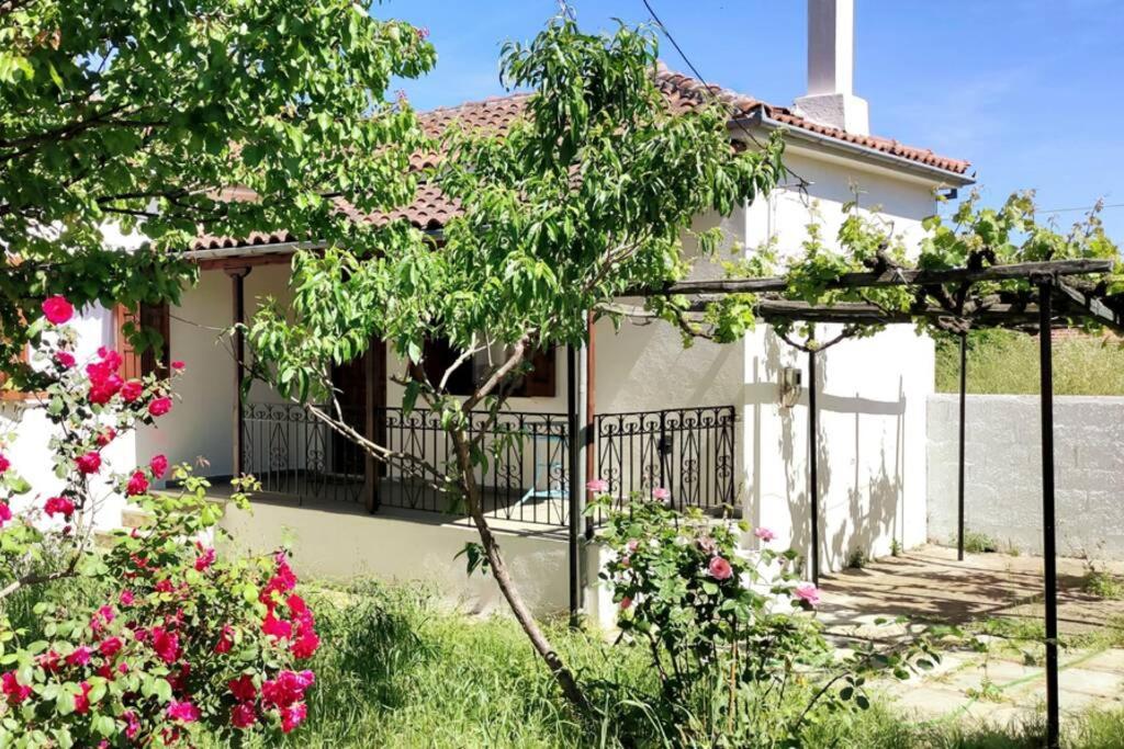 Feli'S Country House Аргаласти Екстериор снимка